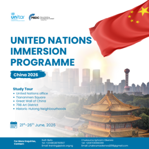 United Nations Immersion Programme